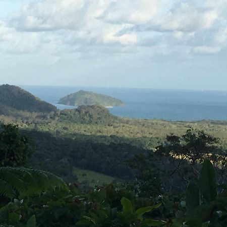 Villa Egrets Rest Daintree Esterno foto