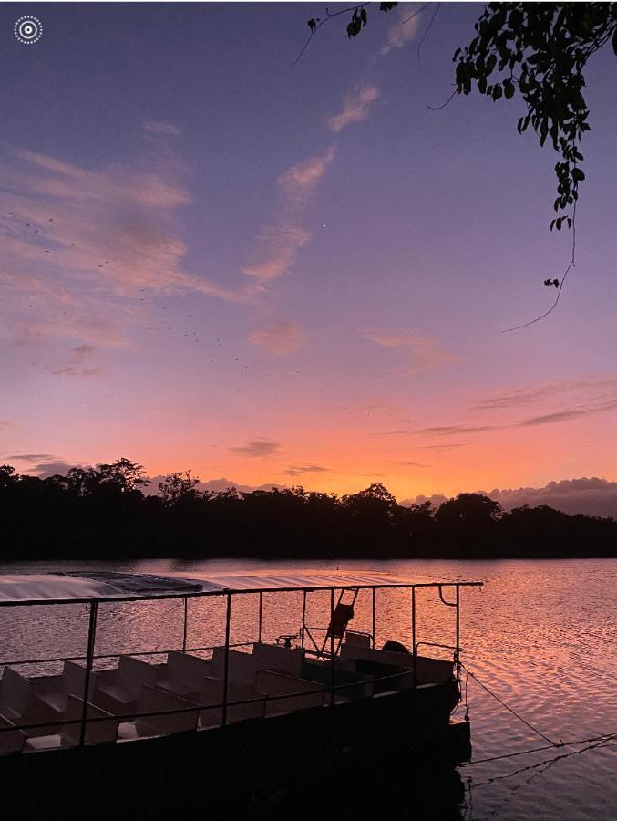 Villa Egrets Rest Daintree Esterno foto
