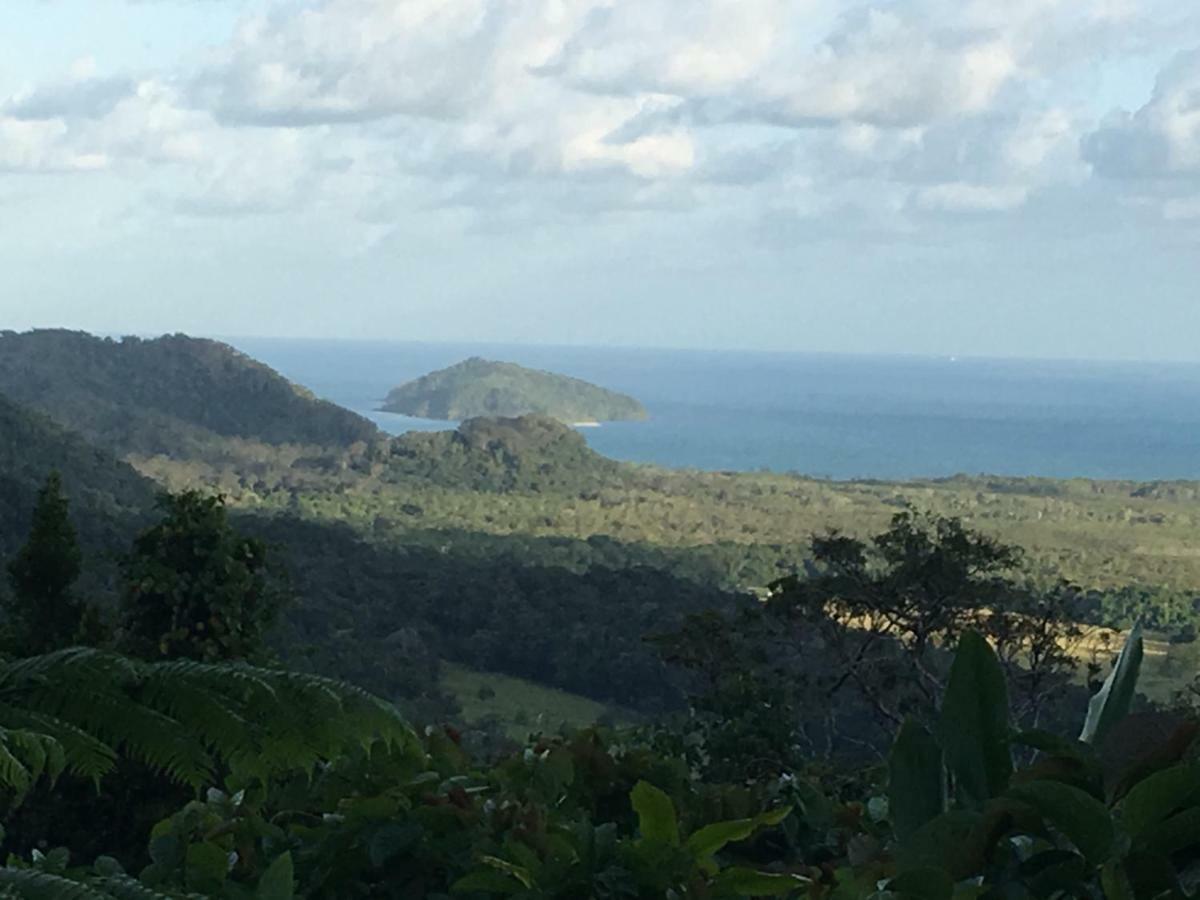 Villa Egrets Rest Daintree Esterno foto
